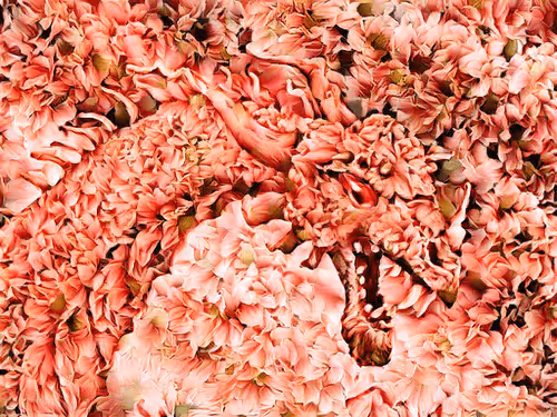 Item #91495161452612716824513038234457997971565506450966334666656391733632932249601 Media