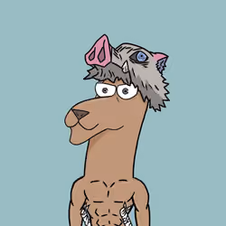 Llama #19