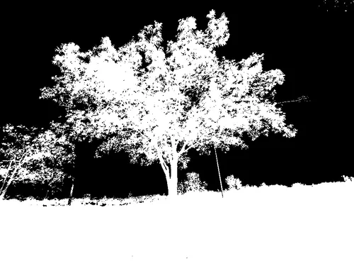 Item #68479161842636701057438961051542017152281123064952545295620238265898705616897 Media