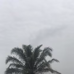 morning sky#001