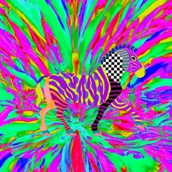 color zebra