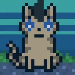 62467536445418901683526312390752010330375978015730577464472941821305104105473