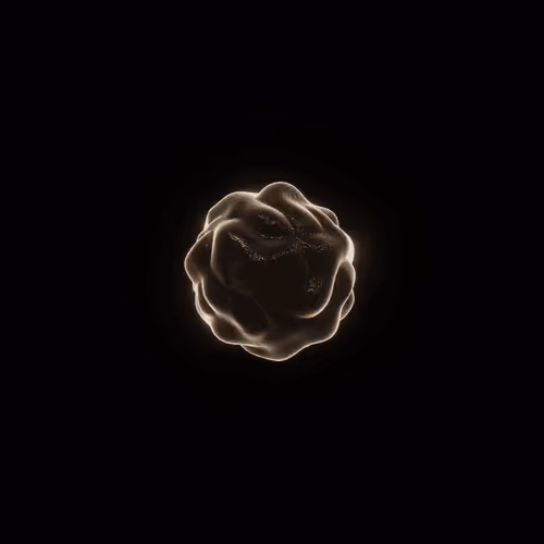 Item #115058812470058164003253443382860631326256377751977121304743314758218264084481 Media