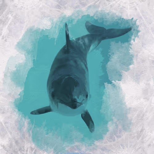 Item #108829080069432666427413762901192148077907568328307962474054884610127035367431 Media