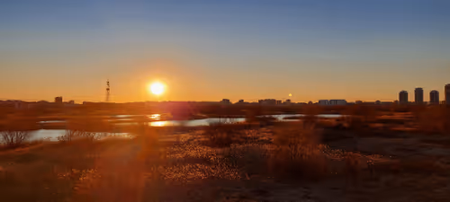 Untitled Collection #28963317 - old