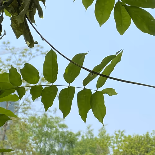 Untitled Collection #38357745