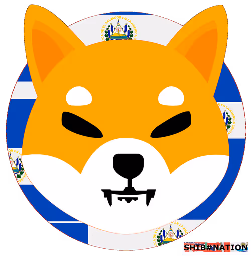 Item #57672164920816839200095776507979848439726541904350214725937847088991271125092 Media