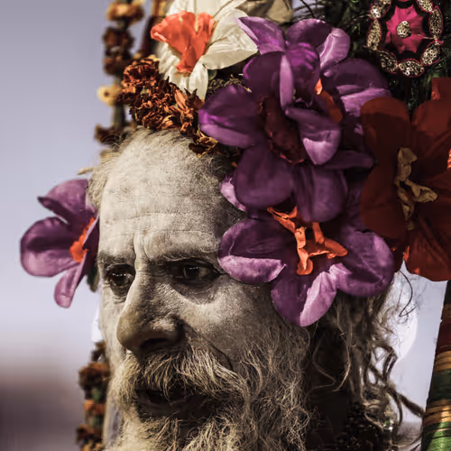 Item #24784017408577437067961436992282274626634637275708277583645051722159460712449 Media