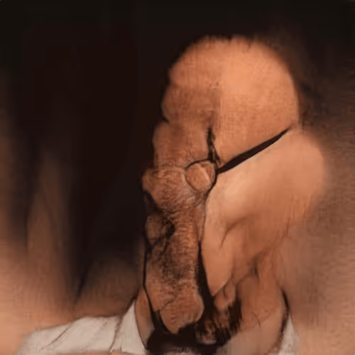 Item #82600979221046623916123607989992051554878063819231594198398202638420651540481 Media