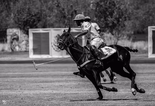 Item #41292547216999824454426259435267855130465343897515309645987456175509170290689 Media