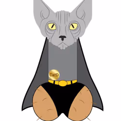 COCKy Cat -Jeffrey Cat SuperHero