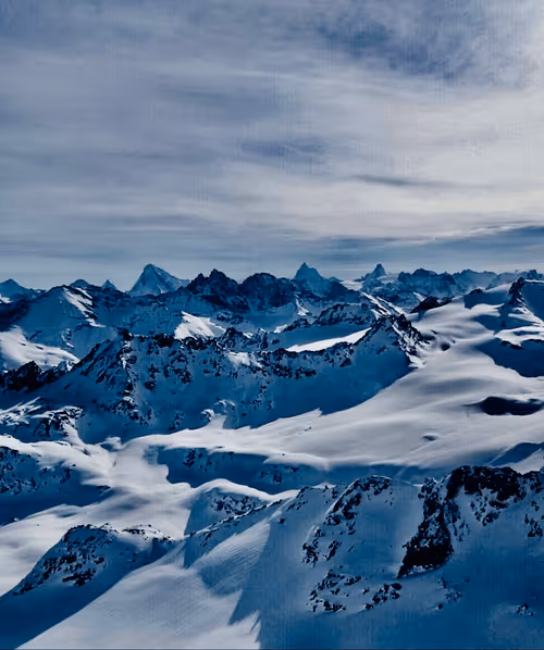 Item #85194694313482311992552065383091349733229460472009518407910609746440082161665 Media