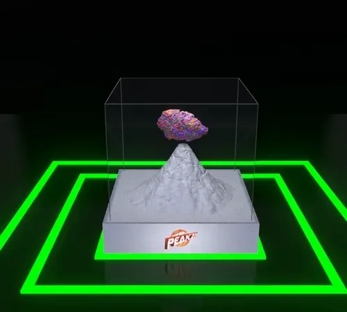 Item #30416664768498730083160680636723480070814186252642691524355120973735939538945 Media