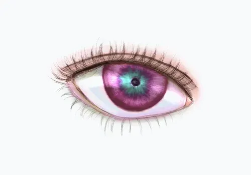 Item #42950694591796666568266939449637019646211598636303907727097118037518221049857 Media