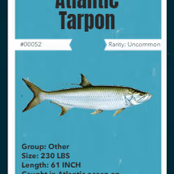 43502264269384842523243150070095810631836830099831581701628991966954595024897