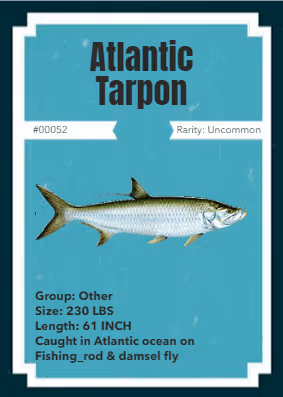 Item #43502264269384842523243150070095810631836830099831581701628991966954595024897 Media