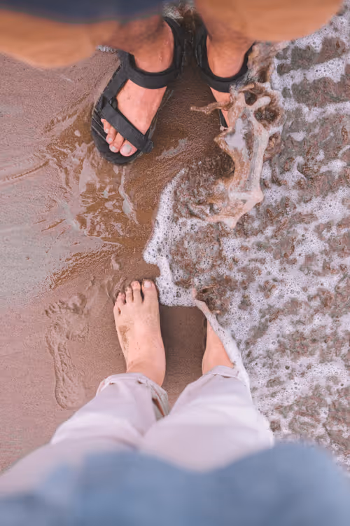 Item #33959663914865537073803252750365082075040924714137999346263629551402284482561 Media