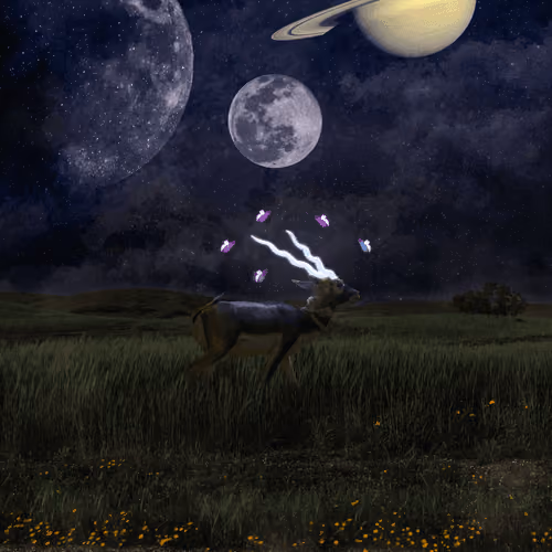 Intergalactic Impala