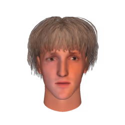 Logan Paul "The Maverick"