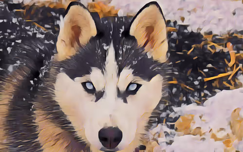 Item #74388721199083954673298778298232823886096642493620239959546432237861821480961 Media