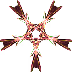 63211013100529833525454840660360054649628702037965273455681848572711308099585