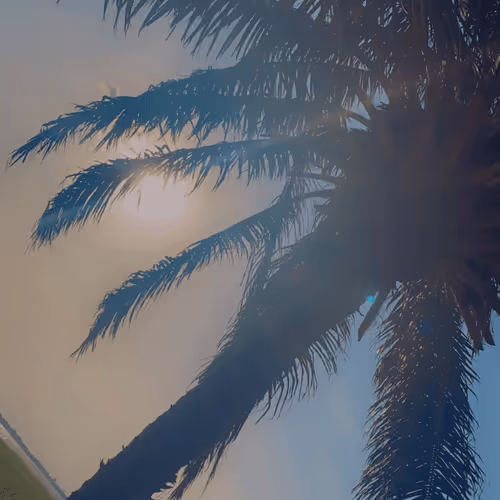 Item #53824836538918648026680043126042186080742309087165823150174572788056667979777 Media