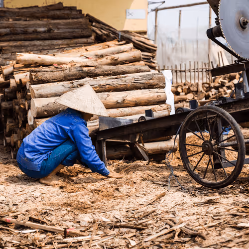 Item #80488266671287018131558448213082272878703229800970441297784273642282117234689 Media