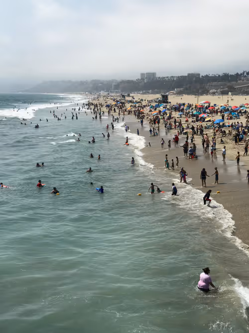 Item #19694953450994535055796596826502944982455978775333522112985953718171435270145 Media