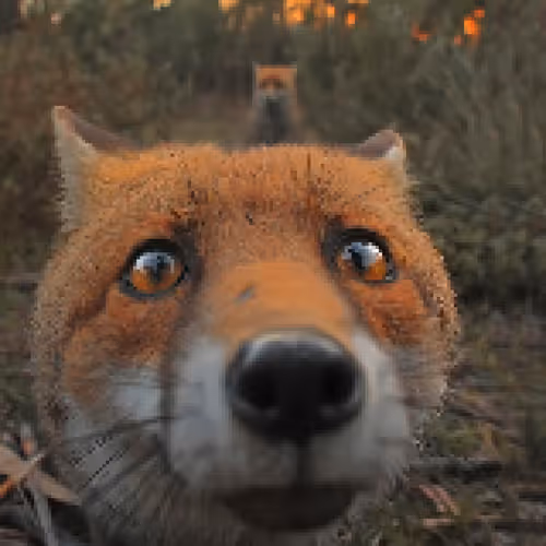 Item #23090246354587497146574793377749271353316401357394469943940169953488131850241 Media