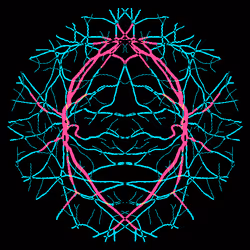 7078802064077755305879053961196844759257248211509687953083586775304739225601