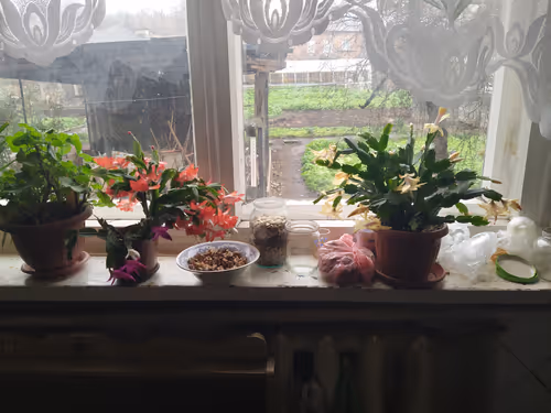 Item #41983459946325006344850038724007157971914249844141491949312563814810114850817 Media