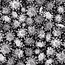 100202135889345252302615875004271900597951028782367159480816017594221561118725