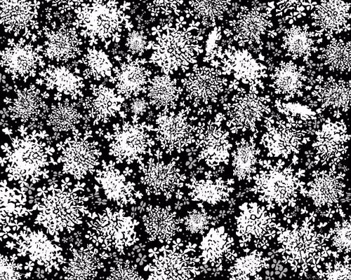 100202135889345252302615875004271900597951028782367159480816017594221561118725