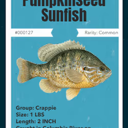 43502264269384842523243150070095810631836830099831581701628991998840432230401