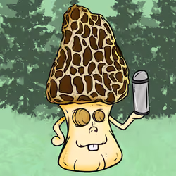 MOREL_TaiFi 100/100