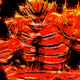 70245752657038438802497270917011048675942392770113143635555768842100158758913