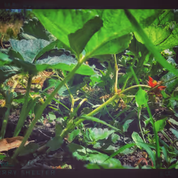 3787080761074609709675817509753112159059746763483256848434353929431338188801