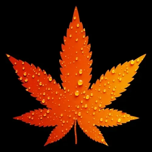 Item #27429404742285856424020713709496491268388893896169540775489702251864118001674 Media