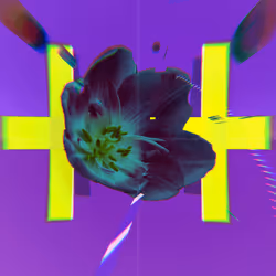 76623402104719609816438437575331766326479587008976687627968337190491793653761