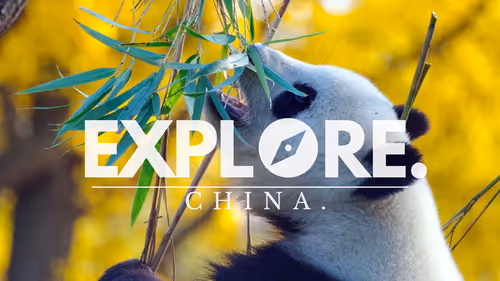 Item #55167293475857333829963200193227146355535503943447662520927477443380010549249 Media