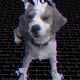 62345621683661683193713543406616418673876020109873424311626099109171363315713