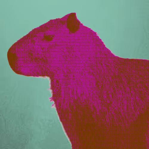 Item #77293639745095891845583666631883170661693217235776112228934488502470241681409 Media