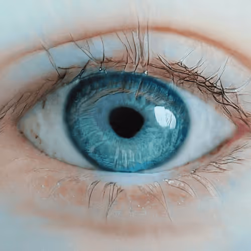 Item #74199557996467277646552317948059726400849062957993662000588098637669303582721 Media