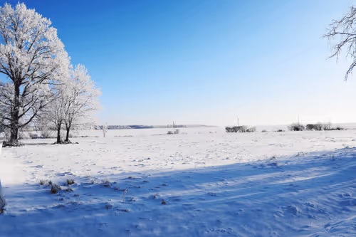 Item #25048395052866519615583306303043483840076282884633851044387431699286897721345 Media