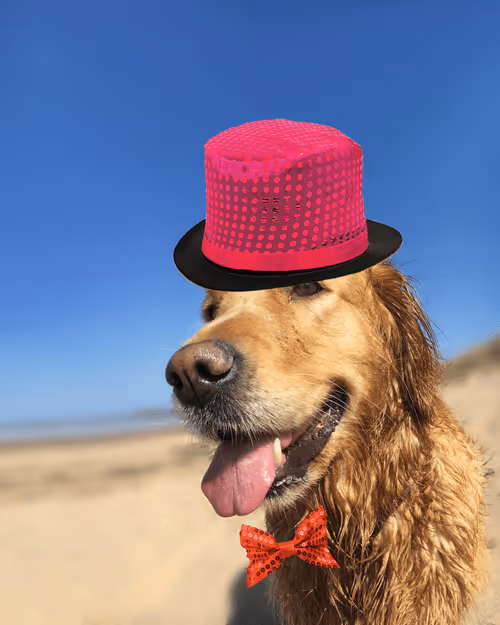 Item #26839399415497039076862880694069072006331525189107682525417321756597296300033 Media