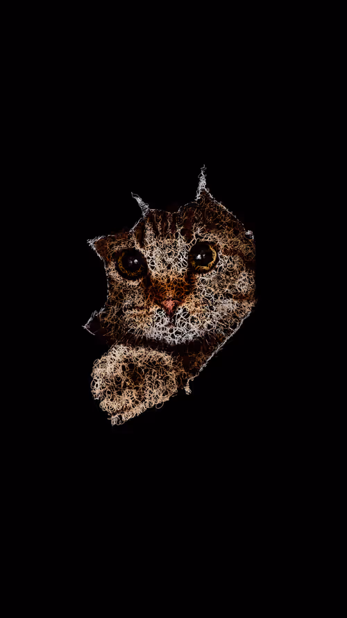 Item #20286817641922993541065929101952433978531825078991625494647867631680775782401 Media