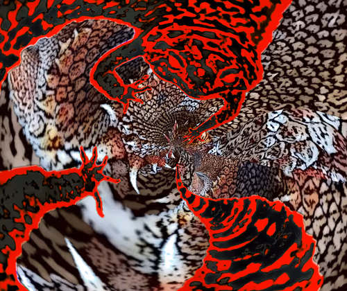 Item #88550933380159429652573600088596543452217115268663300900517750218832996204549 Media