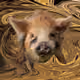 53180631642456764738139299674940583640479914081960747744151189974083843391489