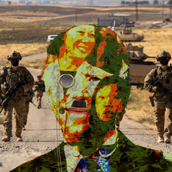 21688527815507990779780435242269546376679550267989735943769095440550642843649