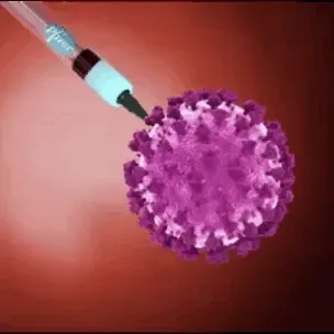 Vaccine Covid 19